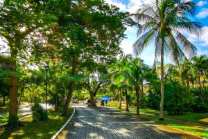 De historische schatten van Playa Del Carmen: Een wandeltour