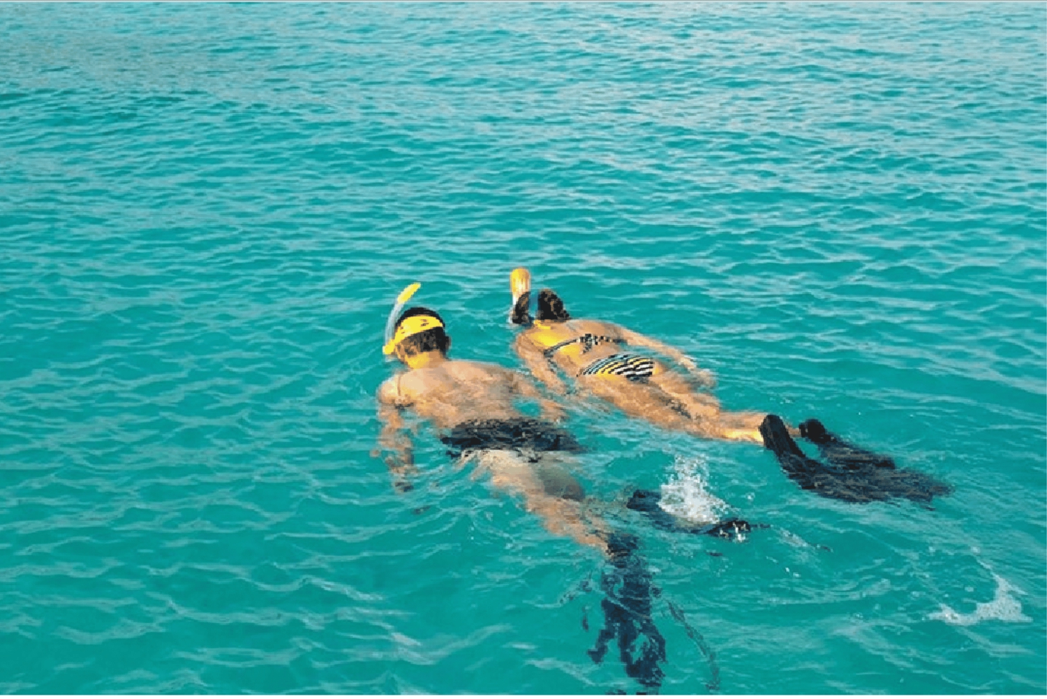 Playa del Carmen: Wycieczka z rurkÄ… na lokalnÄ… rafÄ™