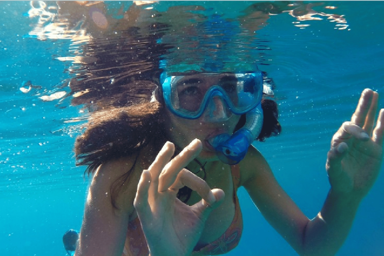 Playa del Carmen: Snorkkelikierros paikallisella riutalla