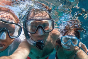 Playa del Carmen: Wycieczka z rurkÄ… na lokalnÄ… rafÄ™