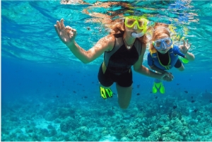 Playa del Carmen: Snorkkelikierros paikallisella riutalla