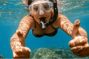 Playa del Carmen: Snorkkelikierros paikallisella riutalla