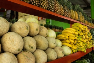 Playa del Carmen: Vegan Food Walking Tour