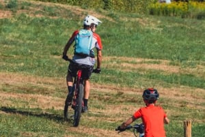 Synspunkt på isbreene i Chamonix med ebike