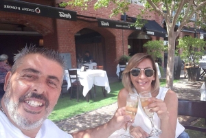 Premium service Buenos Aires bytur for små grupper