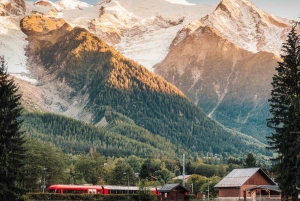 Private all day trip from Geneva to Chamonix Mont Blanc