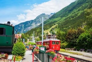 Private all day trip from Geneva to Chamonix Mont Blanc