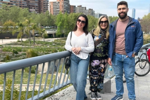 Private City Tour Santiago de Chile