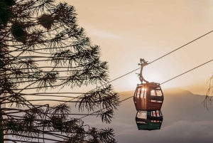 Private City Tour Santiago de Chile