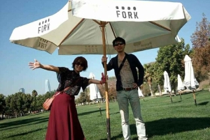 Private City Tour Santiago de Chile