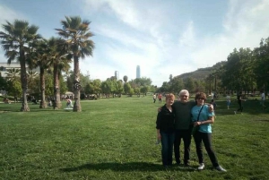 Private City Tour Santiago de Chile