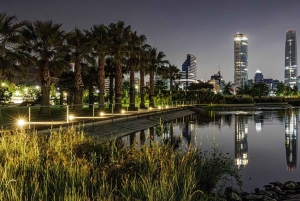 Private City Tour Santiago de Chile