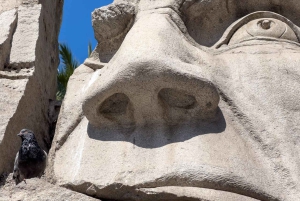 Private City Tour Santiago de Chile