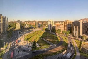 Tour privado de la ciudad de Santiago de Chile