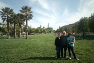 Tour privado de la ciudad de Santiago de Chile