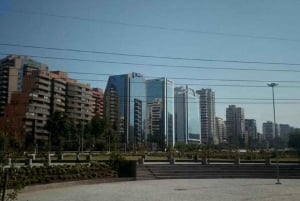 Tour privado de la ciudad de Santiago de Chile
