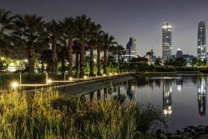 Tour privado de la ciudad de Santiago de Chile