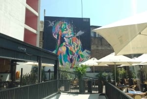 Tour privado de la ciudad de Santiago de Chile