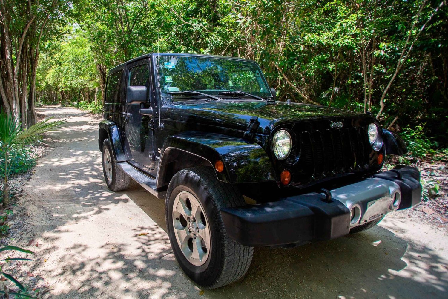 Privat Cozumel Jeep og Jade Cavern Cenote Tour