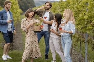 Private Day Mendoza Wineries (Opt Flight from Buenos Aires)