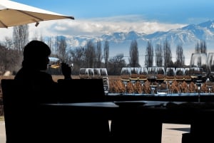 Private Day Mendoza Wineries (Opt Flight from Buenos Aires)