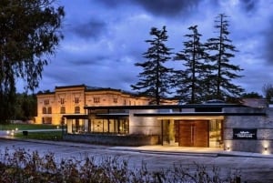 Private Day Mendoza Wineries (Opt Flight from Buenos Aires)