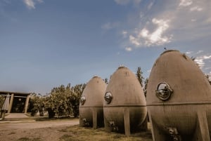 Private Day Mendoza Wineries (Opt Flight from Buenos Aires)