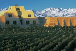 Private Day Mendoza Wineries (Opt Flight from Buenos Aires)