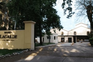 Private Day Mendoza Wineries (Opt Flight from Buenos Aires)