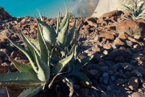 Private experience from Los Cabos to La Paz: (Balandra)