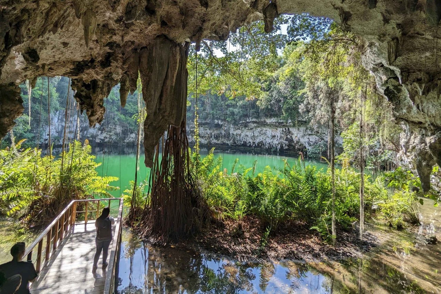 Privado: Santo Domingo: excursión de un día a Los Tres Ojos y Boca Chica