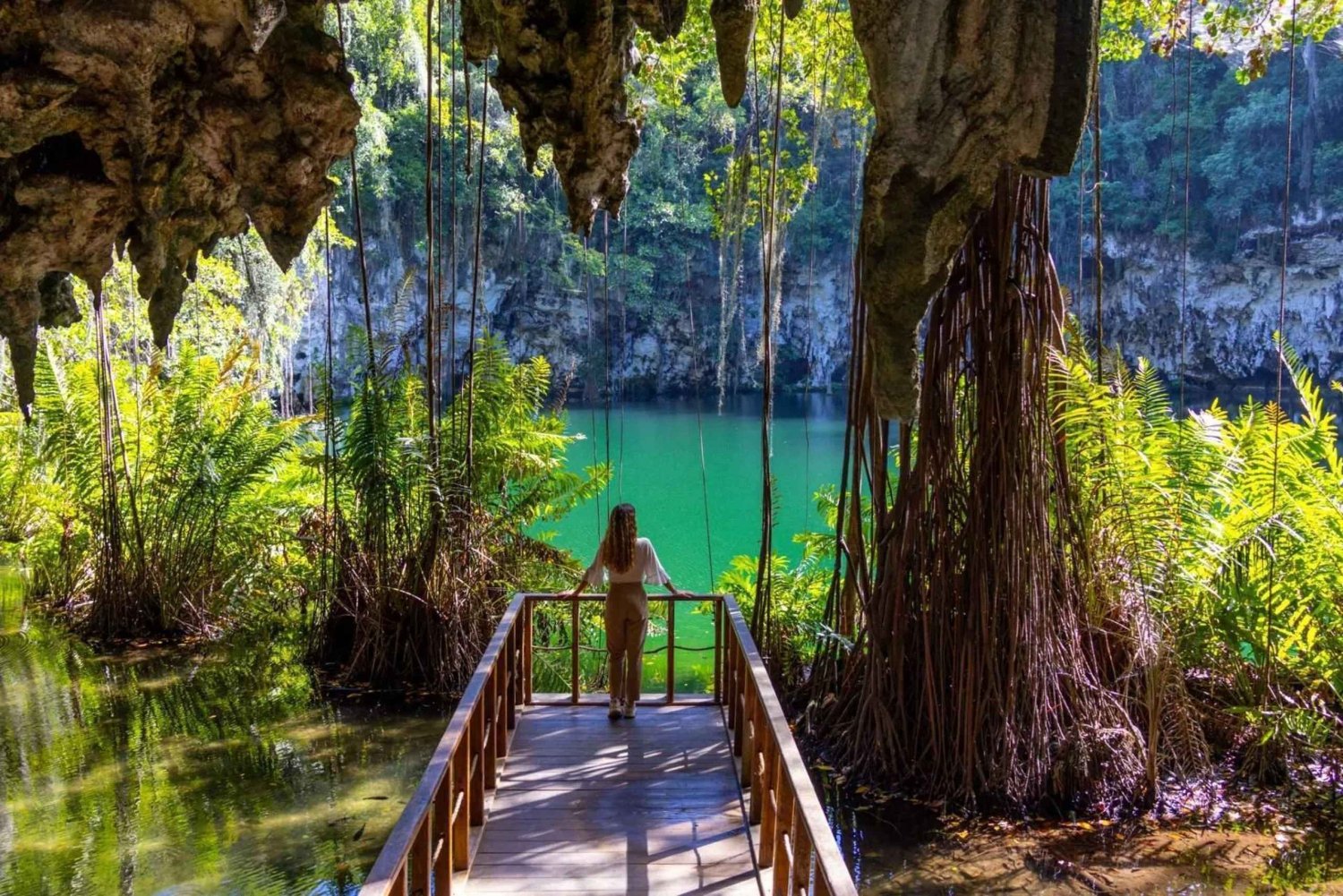 Privado: Santo Domingo: excursión de un día a Los Tres Ojos y Boca Chica