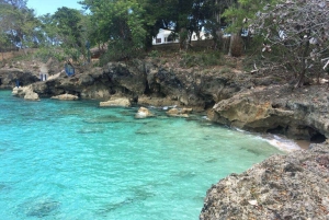 Privado: Santo Domingo: excursión de un día a Los Tres Ojos y Boca Chica