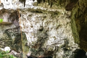 Prywatna wycieczka 1-dniowa: Santo Domingo: Los Tres Ojos i Boca Chica