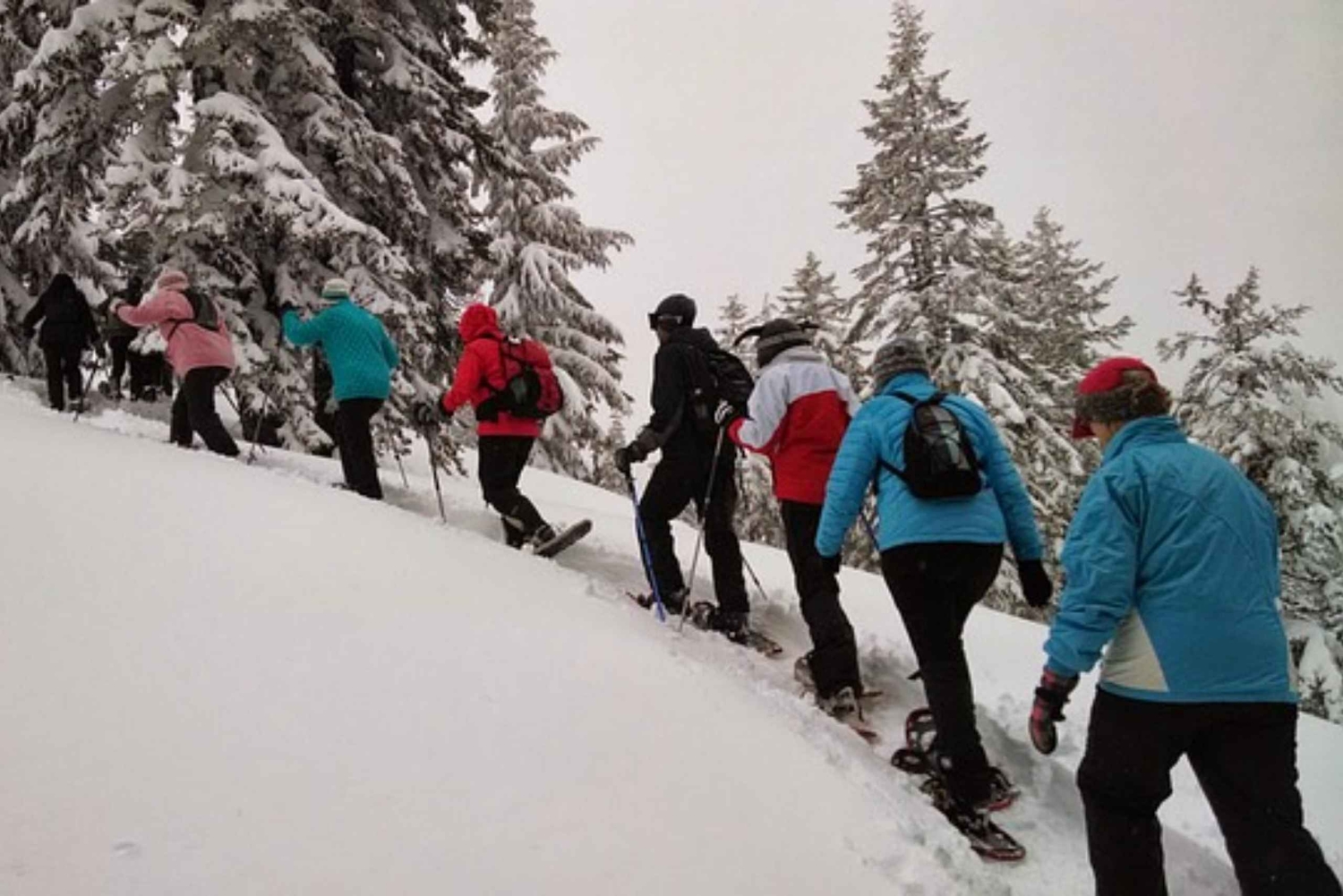 Индивидуальная прогулка на снегоступах на целый день