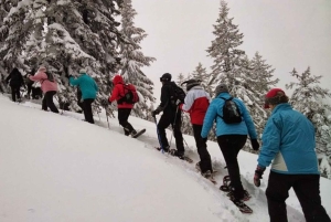 Индивидуальная прогулка на снегоступах на целый день