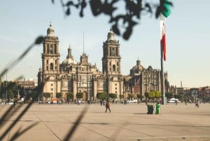 Private Tour Guide Mexico City: Individuelles Erlebnis