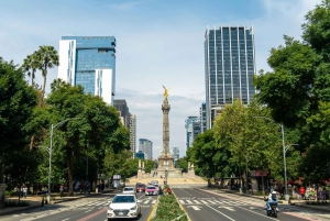 Privétour langs de meest iconische plekken van Mexico-Stad