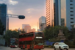 Privétour langs de meest iconische plekken van Mexico-Stad