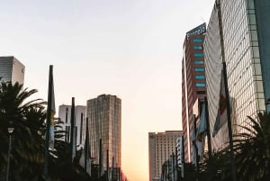 Privétour langs de meest iconische plekken van Mexico-Stad