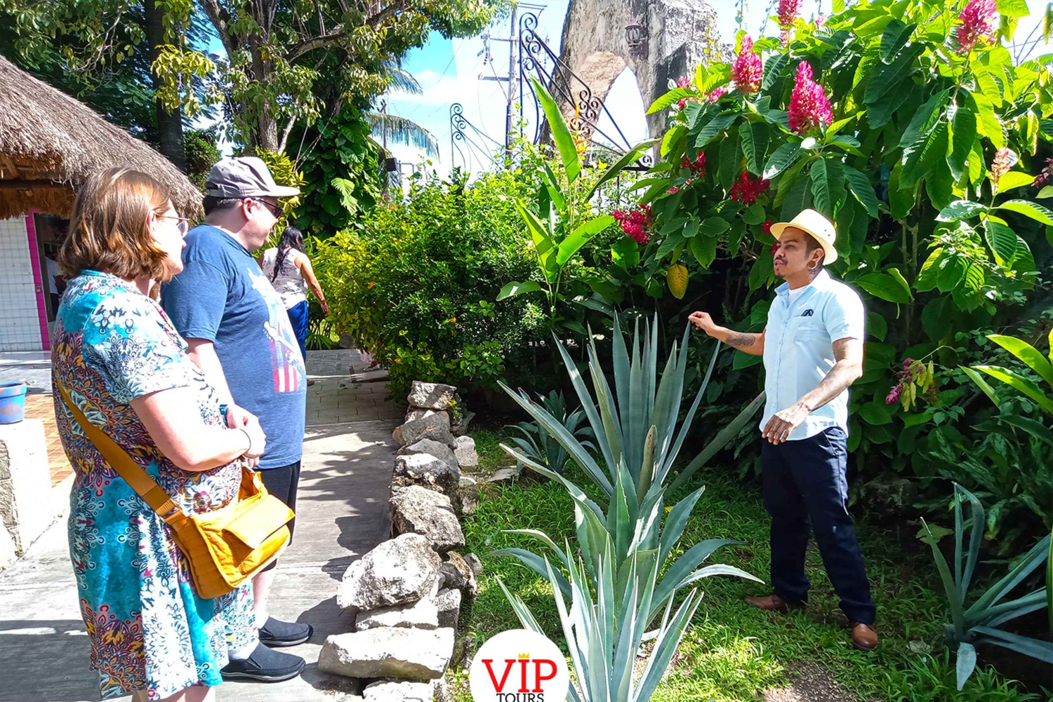 Privat van-service. Smaka på det bästa av Cozumel
