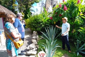 Privat van-service. Smaka på det bästa av Cozumel