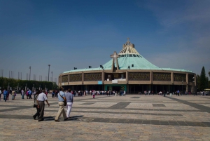 Private VIP Tour City Center, Guadalupe Shrine - Best Rated