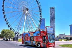 Puebla: Hop-On/Hop-Off-Stadtführung und Aquarium MichÃn