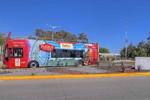 Puebla: Hop-On/Hop-Off-Stadtführung und Aquarium MichÃn