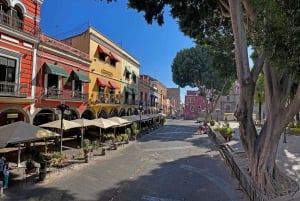 Puebla: Hop-On/Hop-Off-Stadtführung und Aquarium MichÃn