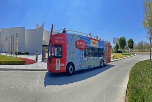 Puebla: Hop-On/Hop-Off-Stadtführung und Aquarium MichÃn