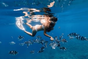 Puerto del Carmen : excursion de snorkeling avec un instructeur