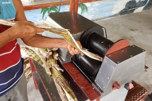 Puerto Limon: City Highlights and Cahuita National Park Tour