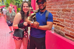 Puerto Plata: City Tour with Rum and Chocolate Factories